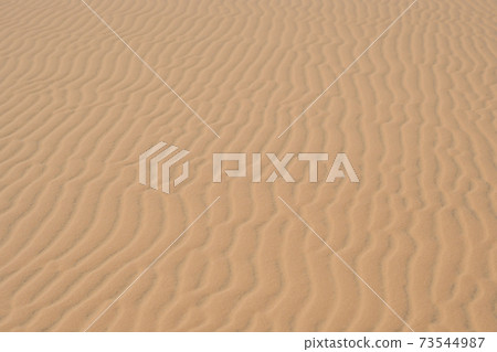 Yellow sand in the desert, Vietnam 73544987
