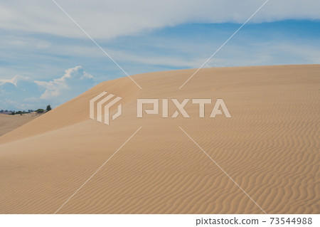 Yellow sand in the desert, Vietnam Yellow sand in the desert, Vietnam 73544988