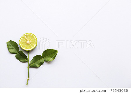 kaffir lime herbal flora local of asia thailand arrangement flat lay postcard style  73545086