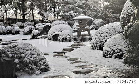 神秘美麗的雪園。 神秘美麗的雪園。 73545787