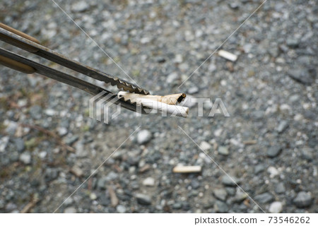 Pick up littered cigarette butts 73546262