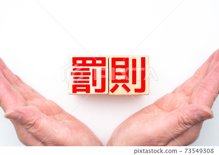 圖像懲罰 73549308
