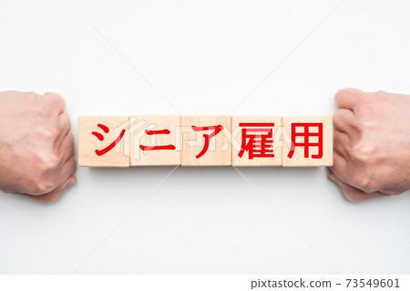 圖像高級就業 圖像高級就業 73549601