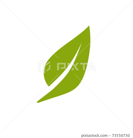 Green leaf, Eco icon. Vector illustration, flat design. 73550730