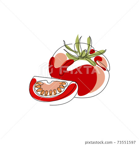 Continuous one line drawing. Tomato. Vector... - Stock Illustration  [73551597] - PIXTA