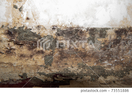 Big wet spots and cracks and black mold on the wall near flour in domestic house room after heavy rain and lot of water Big wet spots and cracks and black mold on the wall near flour in domestic house room after heavy rain and lot of water 73551886