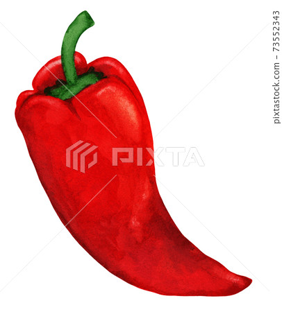 Sweet red capi pepper isolated on white background 73552343