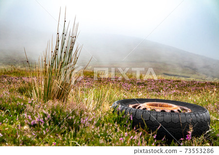 Illegally dumped dumped tyre in rural Ireland 73553286