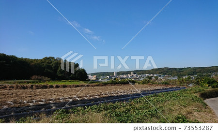 Field and blue sky 73553287