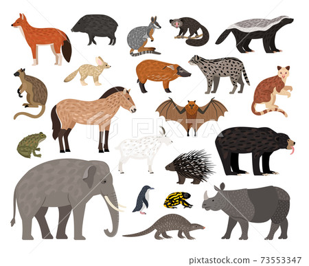 Savannah characters collection 73553347