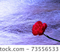 A red rose on silk thread background 73556533