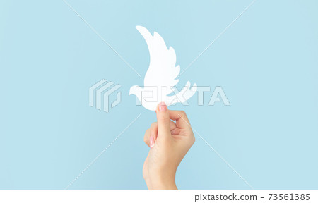 Woman's hand holding white paper dove bird on blue background, international day of peace Woman's hand holding white paper dove bird on blue background, international day of peace 73561385