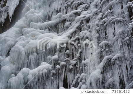 A beautiful waterfall with frozen vines. An icefall at Shiraino Falls in Toon City, Ehime Prefecture. A beautiful waterfall with frozen vines. An icefall at Shiraino Falls in Toon City, Ehime Prefecture. 73561432