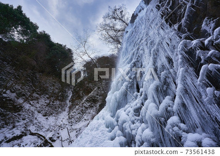 與凍藤的美麗的瀑布。愛媛縣香椿市的Shiraino Falls冰川。 與凍藤的美麗的瀑布。愛媛縣香椿市的Shiraino Falls冰川。 73561438