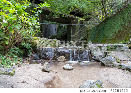 Yuyama Citizen's Forest Mizunomori [Minami-ku, Fukuoka City, Fukuoka Prefecture] 73561453