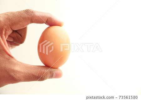 hand holding egg isolated on white 73561580