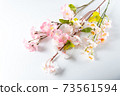 Cherry tree branch 73561594