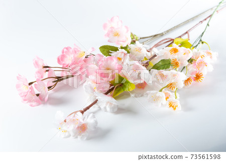 Cherry tree branch Cherry tree branch 73561598