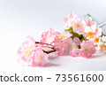Cherry tree branch 73561600