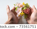 Image of spring Sakura 73561751