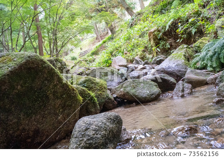 Yuyama Citizen's Forest Mizunomori [Minami-ku, Fukuoka City, Fukuoka Prefecture] 73562156
