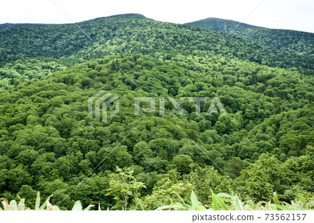 Forest scenery in Fukushima prefecture 73562157