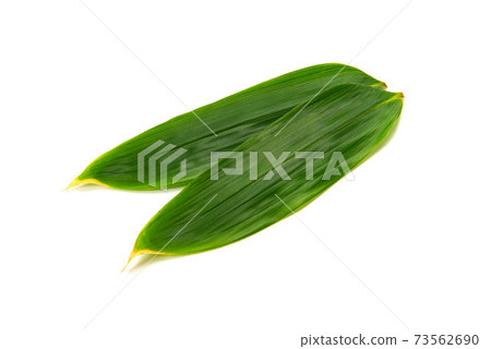 竹葉背景素材 73562690