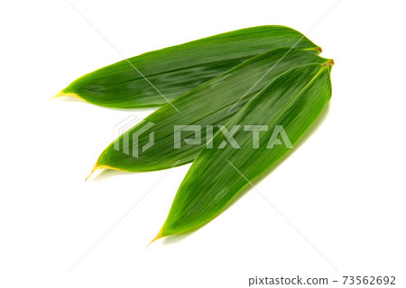 竹葉背景素材 73562692