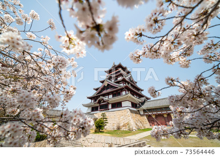 Fushimi Castle in Spring Fushimi Castle in Spring 73564446