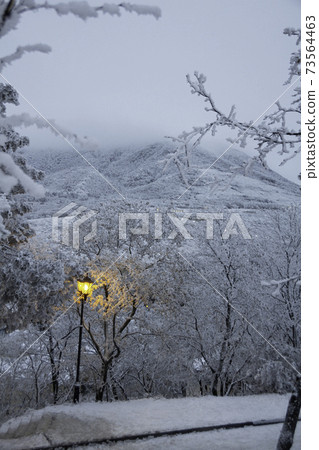 Beautiful view of the night winter city park. Lanterns by the road illuminate the path. Background for a greeting card. Top view of the snowy mountains in evening. Mashuk, Pyatigorsk. 73564463