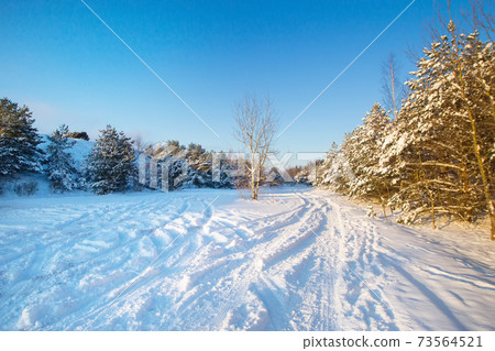 Snow Curonian Spit dunes in January winter sunny day. Blue sky and sea, forest evergreen trees in snow. Wonderful fairytale Christmas New Year weather. Kursiu Nerija, near Klaipeda city in Lithuania Snow Curonian Spit dunes in January winter sunny day. Blue sky and sea, forest evergreen trees in snow. Wonderful fairytale Christmas New Year weather. Kursiu Nerija, near Klaipeda city in Lithuania 73564521