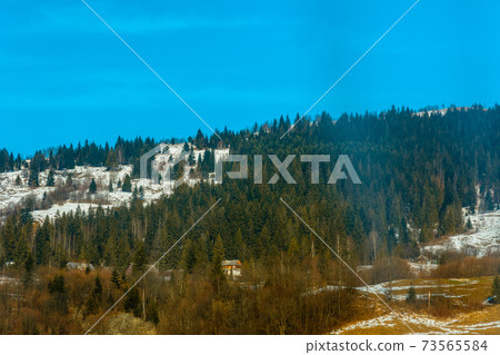 Magnificent mountain landscape with green forest and blue sky of western Ukraine Magnificent mountain landscape with green forest and blue sky of western Ukraine 73565584