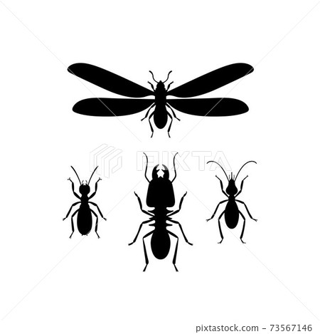 Termites (queen, soldier, worker) 73567146