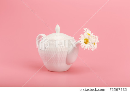 White porcelain tea pot with camomile flowers on pink background. Creative concept of herbal tea White porcelain tea pot with camomile flowers on pink background. Creative concept of herbal tea 73567583