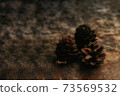 Pine cones on an earthen background 73569532