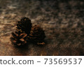 Pine cones on an earthen background 73569537