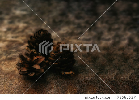 Pine cones on an earthen background 73569537