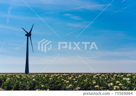 Modern windmills on rural landscape area under blue sky Modern windmills on rural landscape area under blue sky 73569864