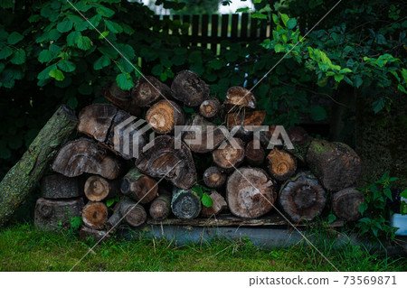 Close up photo of stacked short wood logs Close up photo of stacked short wood logs 73569871
