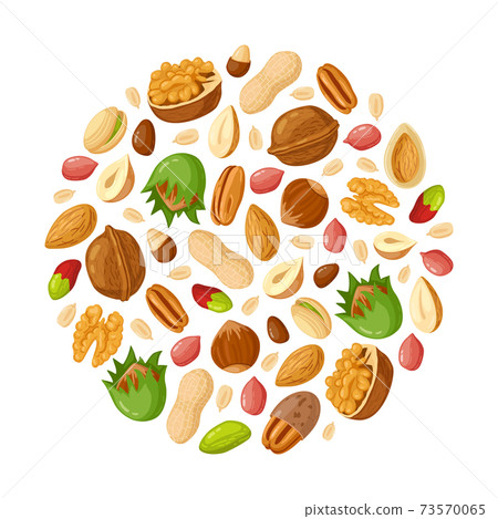 Cartoon seeds and nuts. Almond, peanut, cashew, sunflower seeds, hazelnut and pistachio. Nut food vector illustration set Cartoon seeds and nuts. Almond, peanut, cashew, sunflower seeds, hazelnut and pistachio. Nut food vector illustration set 73570065