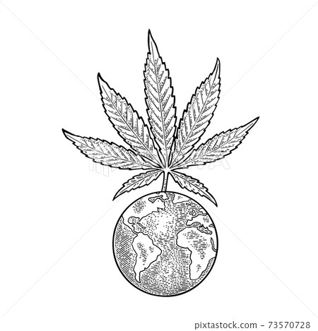 Marijuana leaf and Earth planet. Vintage black vector engraving illustration Marijuana leaf and Earth planet. Vintage black vector engraving illustration 73570728