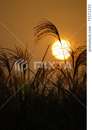 sunset sunset 73571335
