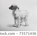 一隻狗的插圖 73571436
