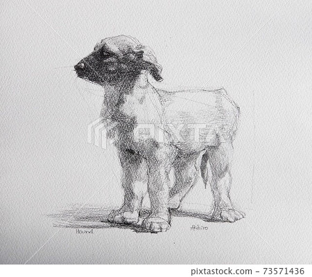 一隻狗的插圖 73571436