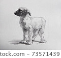 一隻狗的插圖 73571439
