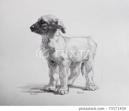 一隻狗的插圖 73571439