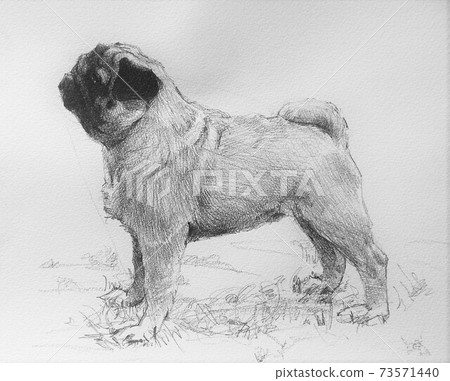 一隻狗的插圖 73571440