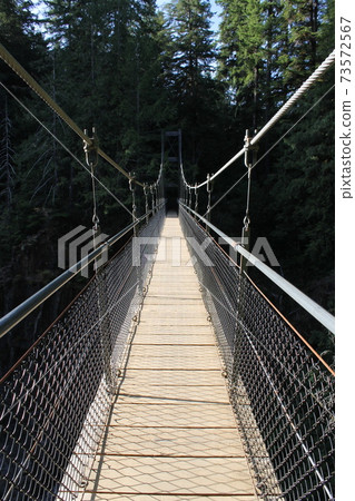 Suspension bridge 73572567