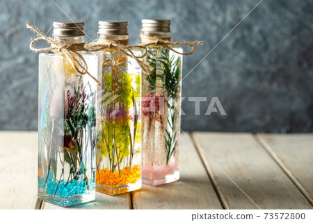 植物標本室 73572800