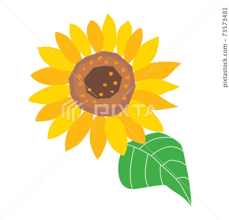 一朵向日葵花的插圖 一朵向日葵花的插圖 73573481